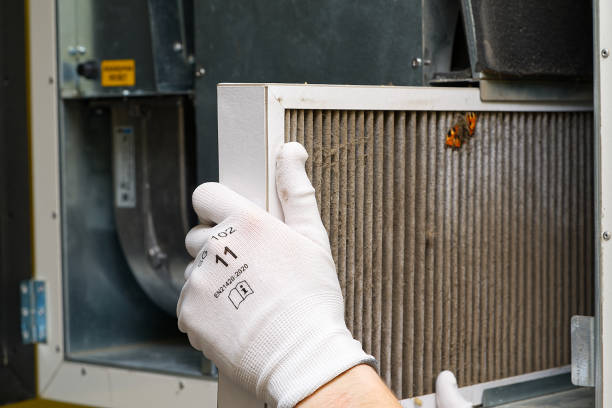 Best Residential Air Duct Cleaning  in Lewisville, WA